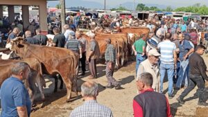 Emeklileri kurban ettiler