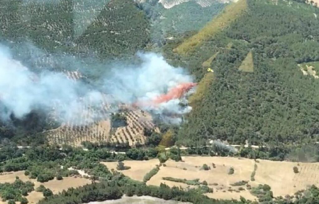Evler ve ağıllar boşaltmıştı… İzmir’deki yangın kontrol altında