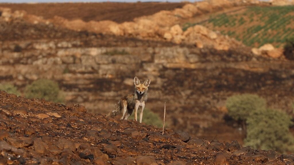 Felaketin boyutu gün ağarınca ortaya çıktı