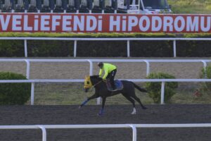 Gazi Koşusu ne zaman yapılacak?