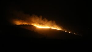 Husumete dayalı sabotaj iddiası! Kim yakıyor bu arazileri?