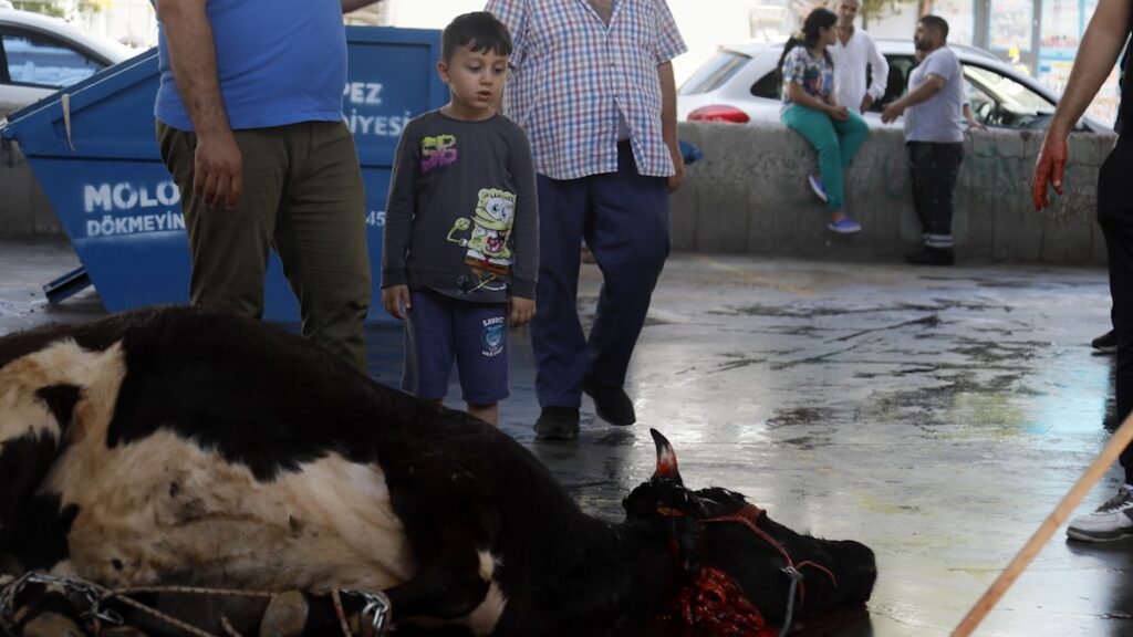 Kurban Bayramı’nda çocuklarda korku ve şaşkınlık