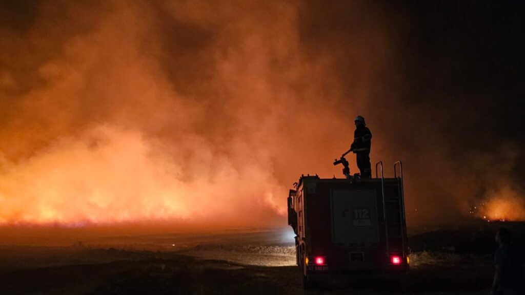 Mardin’de 5 ayrı noktada yangın