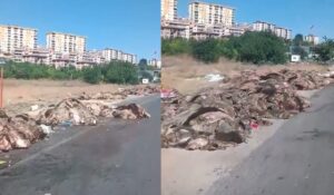 Mide bulandıran manzara! “Burası Afganistan değil Türkiye”