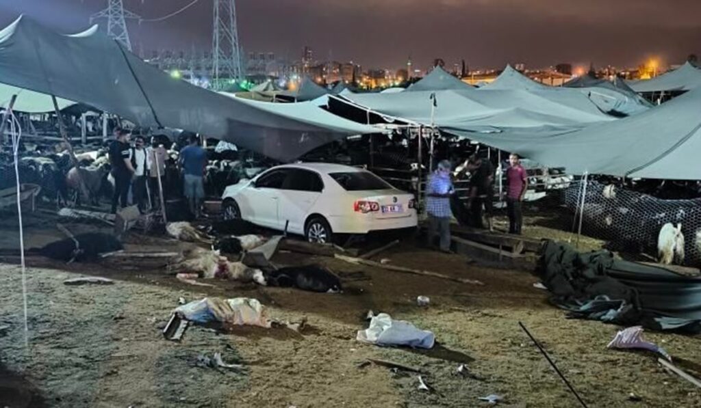 Otomobille hayvan pazarına girdi: 2’si ağır 8 yaralı, 7 kurbanlık öldü