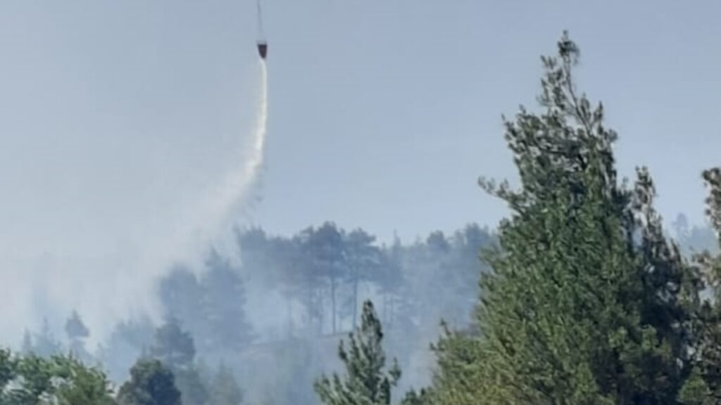 Siirt’te orman yangını