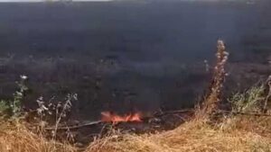 Su yükseldi, 2 kardeş oluşan adacıkta mahsur kaldı