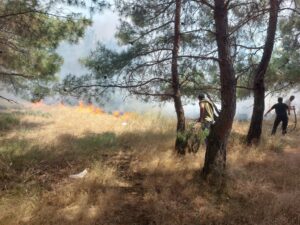 Üç ilde peş peşe yangın! Havadan ve karadan müdahale ediliyor