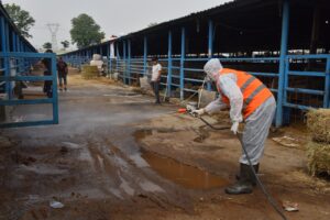 Yıldırım’da kurban satış yerleri ilaçlanıyor
