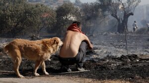 Yunanistan’da orman yangınları… Bir kişi öldü