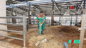 Bursa Osmangazi’de kurban pazarları temizlendi