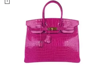 108 bin dolarlık çantanın sahibi kim çıktı?