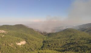 Bergama’daki orman yangını 2’nci gününde sürüyor…