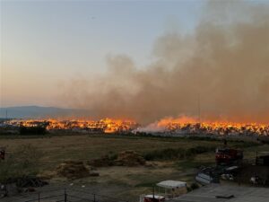 Bir günde 68 noktada yangın