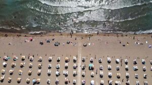 Caretta carettaların cinsiyeti değişti