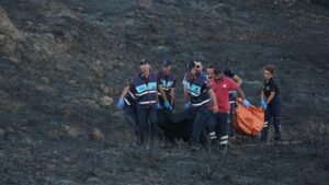 Çeşme yangınıyla ilgili 2 kişi tutuklandı