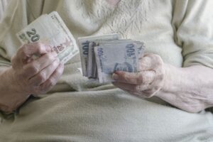 Emekli Dijital Kimlik Kartı emekliler.gov.tr sayfasında