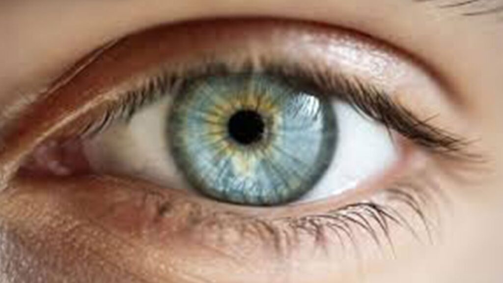 Göz renginiz hastalığınızı belirliyor