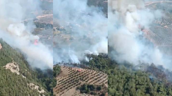 Hatay’da orman yangını: Ekipler sevk edildi