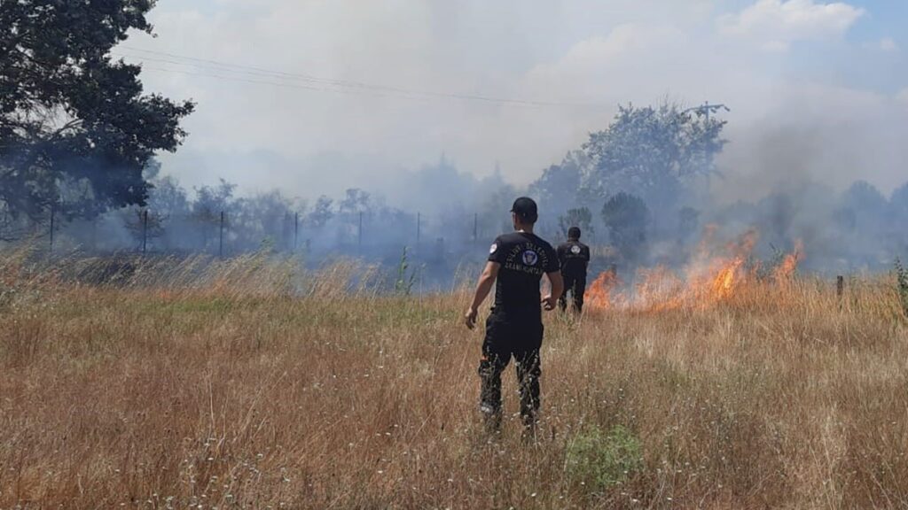 İstanbul, İzmir ve Muğla’da orman yangınları