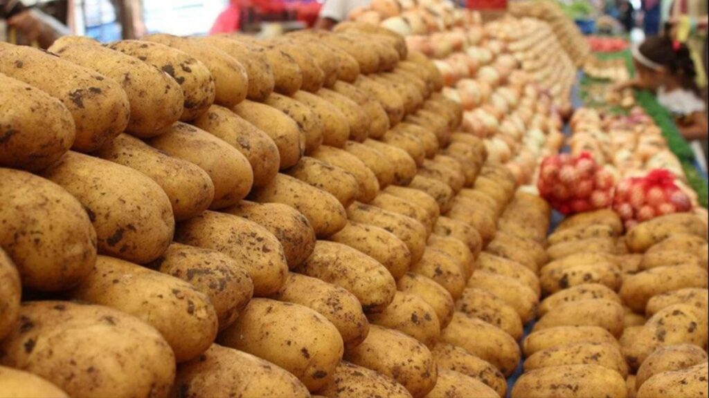 Patatesi, soğanı yurt dışından alıyoruz!