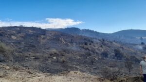 Soma yangını kontrol altına alındı