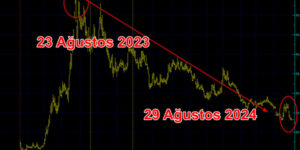 Halka arz hissesi bir yıldır soluksuz düşüyor
