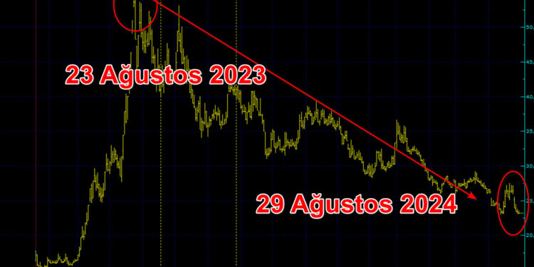 Halka arz hissesi bir yıldır soluksuz düşüyor