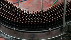 Rusya, Anadolu Efes iştirakının hisse alımını engelledi