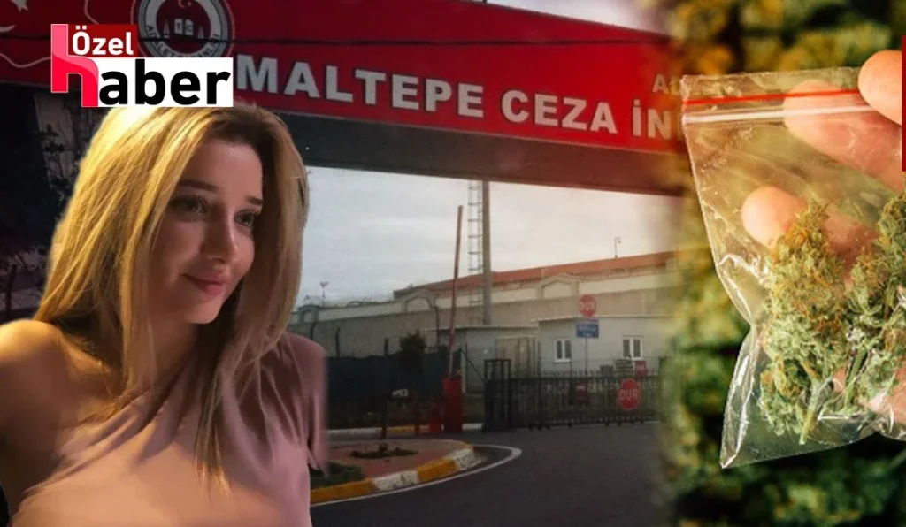 Cezaevine uyuşturucu sokmaya çalışırken yakalanan avukata 20 yıla kadar hapis istemi