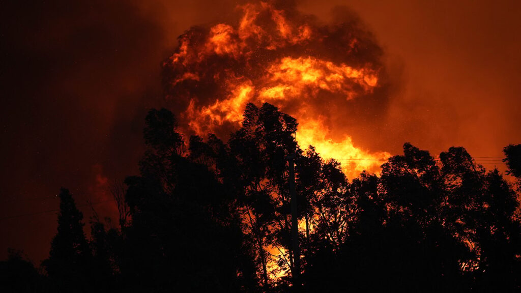 Bakan Yumaklı, yangınların çıkış nedenini açıkladı