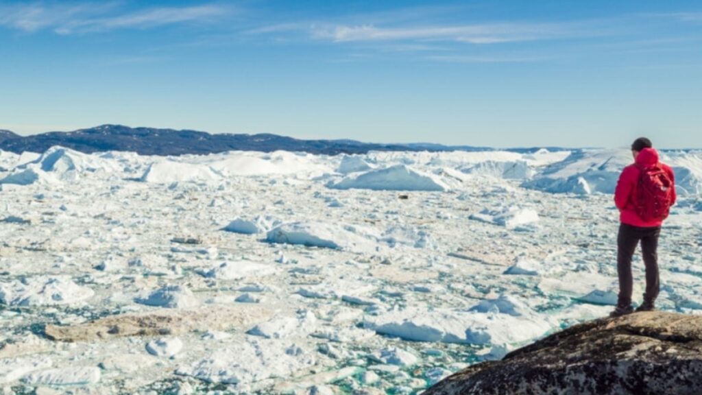 Buzul fiyordu nedir?