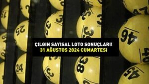 ÇILGIN SAYISAL LOTO SONUÇLARI AÇIKLANDI 31 AĞUSTOS 2024: Milli Piyango 202.491.241,32 TL büyük ikramiyeli sayısal loto sonuçları nasıl öğrenilir?