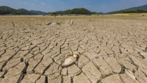 Çevresel adalet nedir?