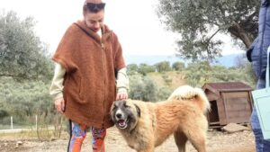 Ceylan Ertem’den sert tepki: Elleriniz kırılsın