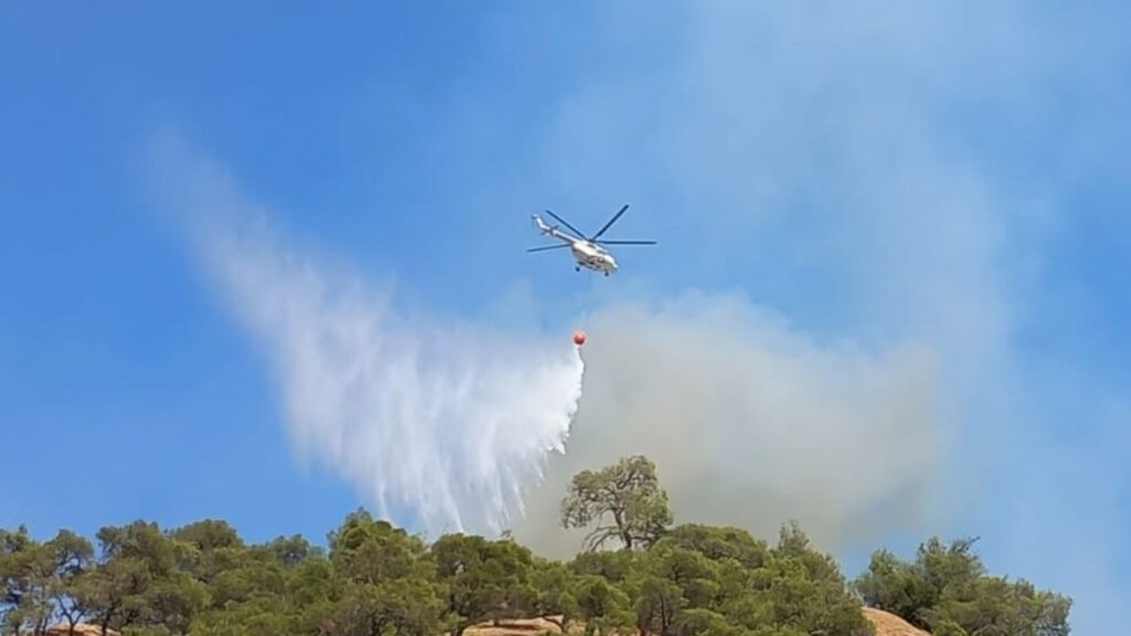 İki gündür mücadele ediliyordu: Kontrol altına alındı