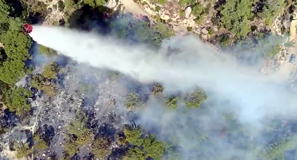 Muğla’da orman yangını: Kuvvetli rüzgarla yayılıyor…