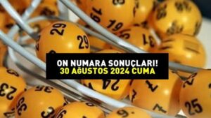 ON NUMARA SONUÇLARI AÇIKLANDI 30 AĞUSTOS 2024: Milli Piyango On Numara sonuçları nasıl öğrenilir? 1.838.840,98 TL’lik büyük ikramiye devretti
