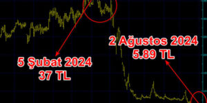 Parasını bu hisseye yatıranların 100 lirası 7 ayda 18 liraya düştü!