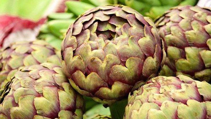 Şeker hastalığına iyi geliyor: ENGİNAR Yaprağının Faydaları Nelerdir? Enginar Yaprağı Çayı Neye İyi Gelir?