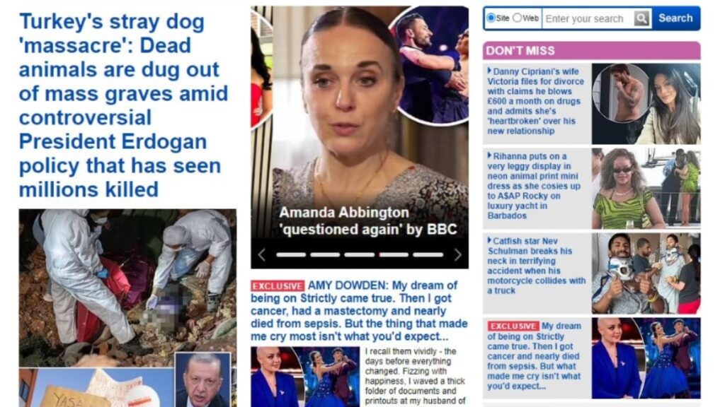 Sokak hayvanları yasası İngiliz medyasında manşet oldu