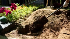 Veraset intikali ne demek?