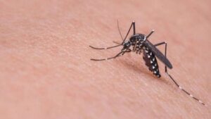 Virüs can almaya devam ediyor, vakalar Türkiye sınırına dayandı