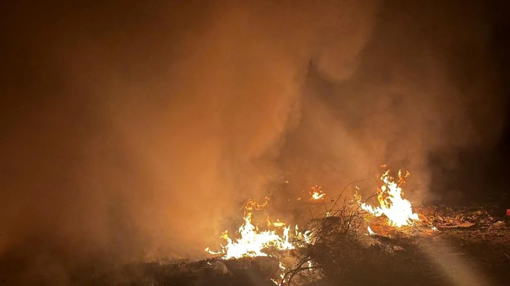 Bursa’da Tarım Arazisinde Yangın