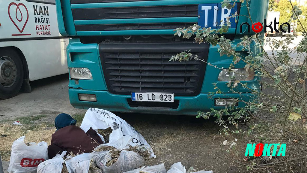 82 yaşındaki Nefise teyzeden örnek çevre hareketi