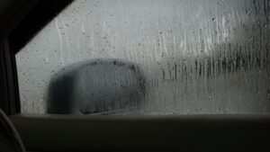 Araç camlarında net görüşün şaşırtıcı yolu: Kedi kumu!