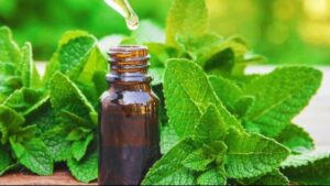 Ayaktaki ödemi hızla gideriyor, ağrıyı anında dindiriyor!