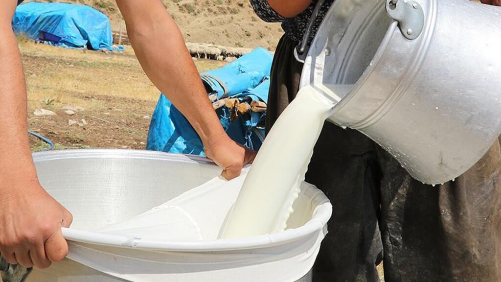 Besiciler çıkmazda: Süt sudan ucuz