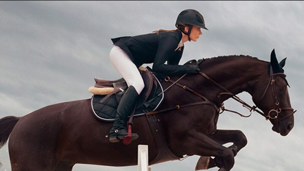 Binicilik Paralimpik oyunları nedir, Paralimpik Türkiye sporcuları kim? Paris 2024 Paralimpik oyunları Google Doodle oldu