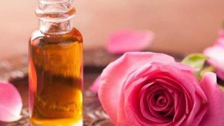 CİLDİ TEMİZLEYEN YAĞ: Gül Yağının Faydaları Nelerdir? Neye İyi Gelir? Gül Yağının Az Bilinen Faydaları